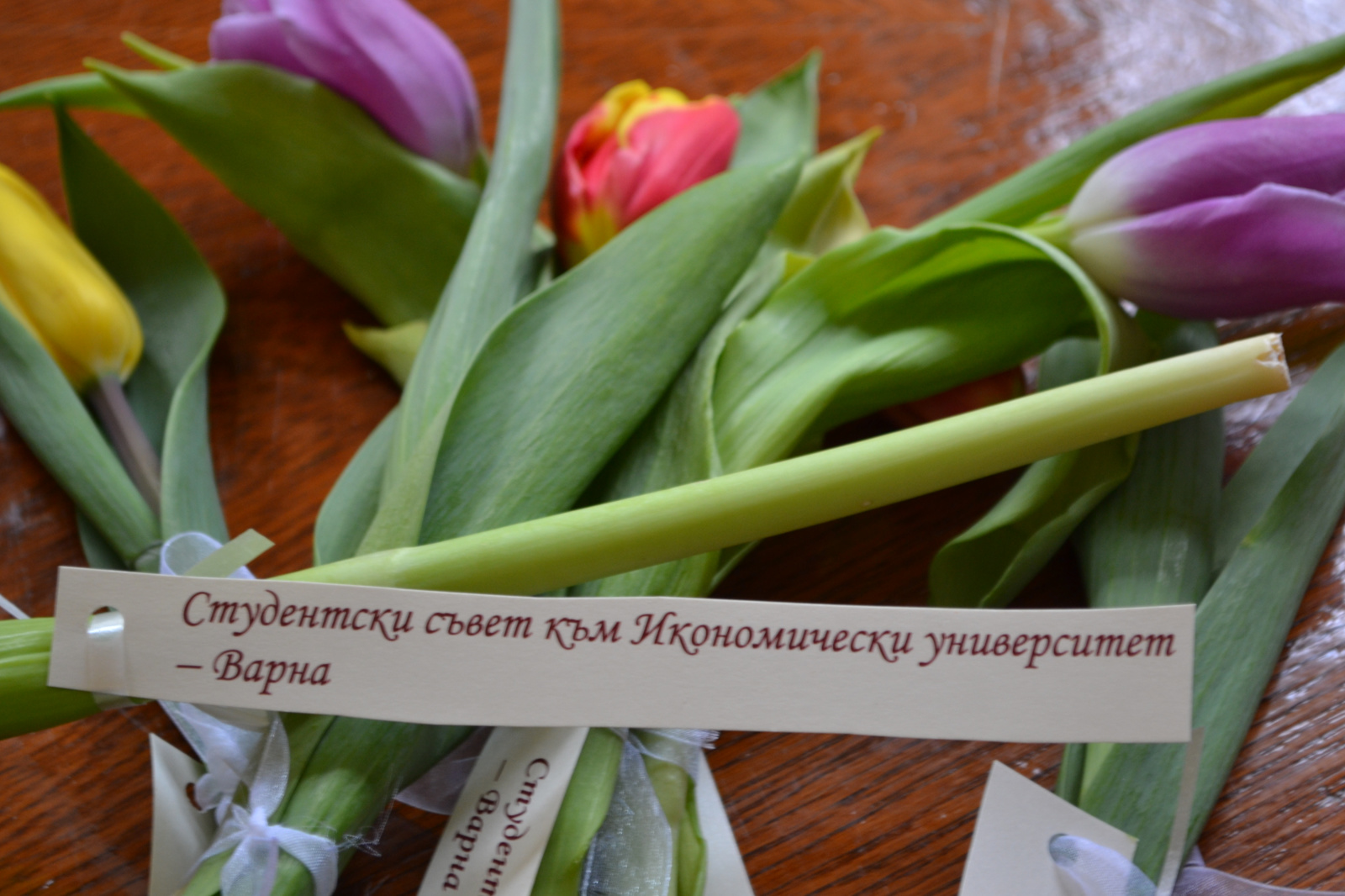 Международен ден на жената - отзив